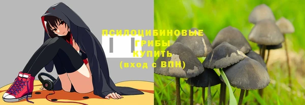 винт Володарск