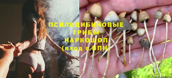 стафф Волосово
