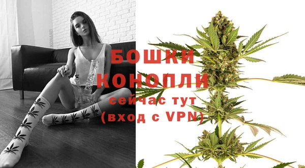 стафф Волосово